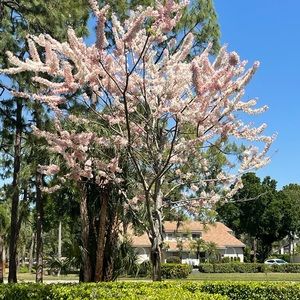 Meet your Posher, Sal